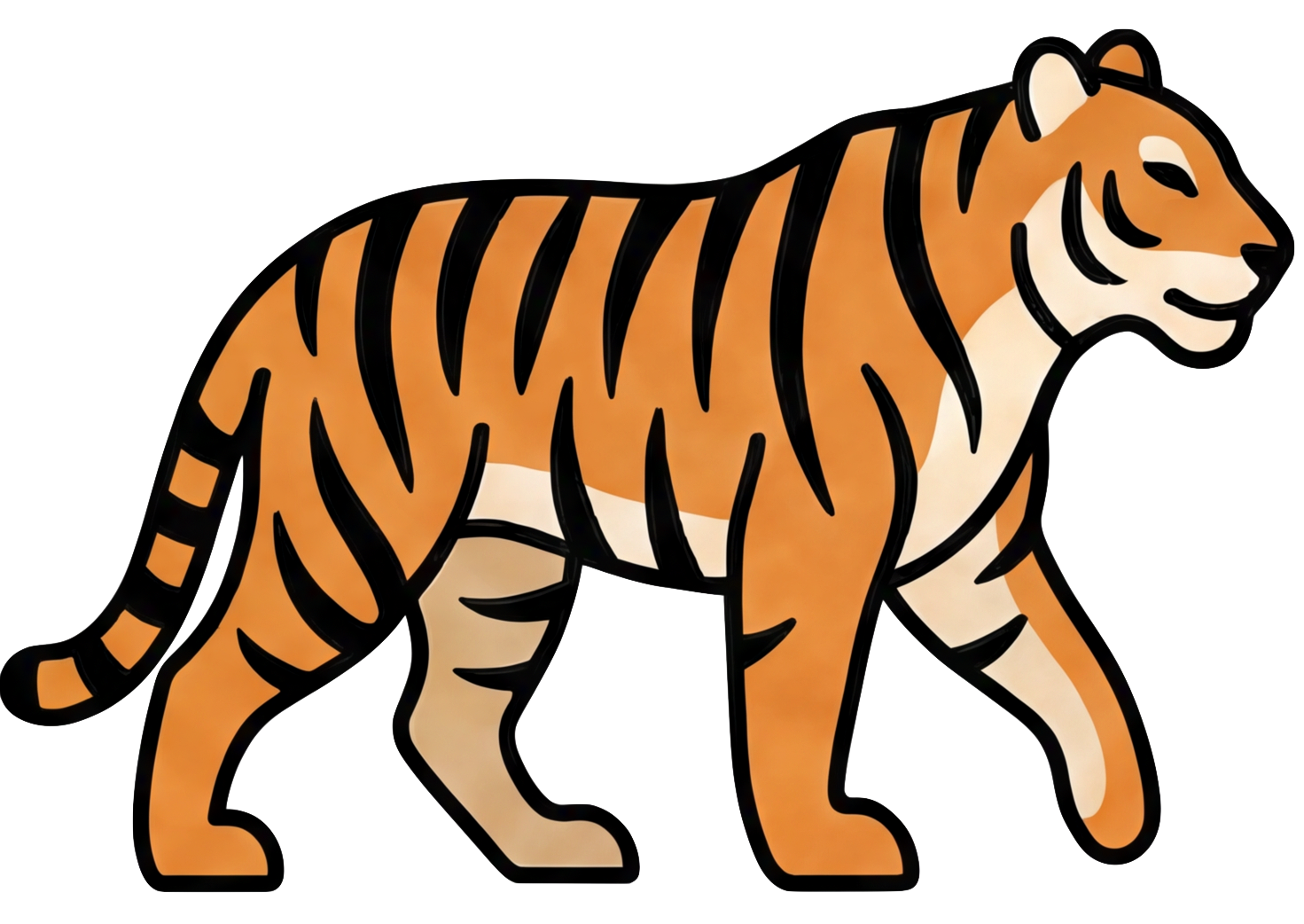 Tiger illustration